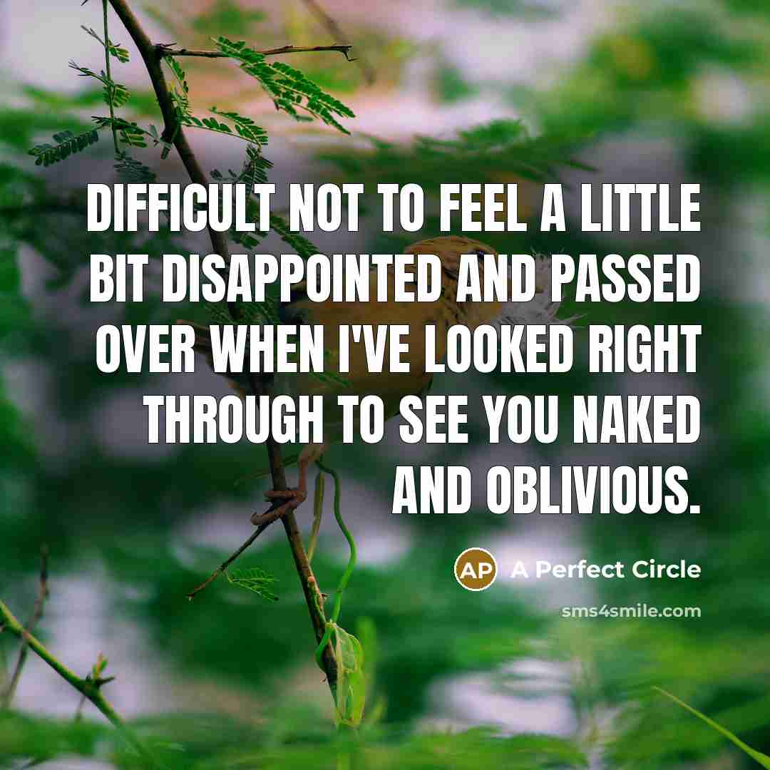 “Difficult not to feel a little bit disappointed and passed…” quote by A Perfect Circle
