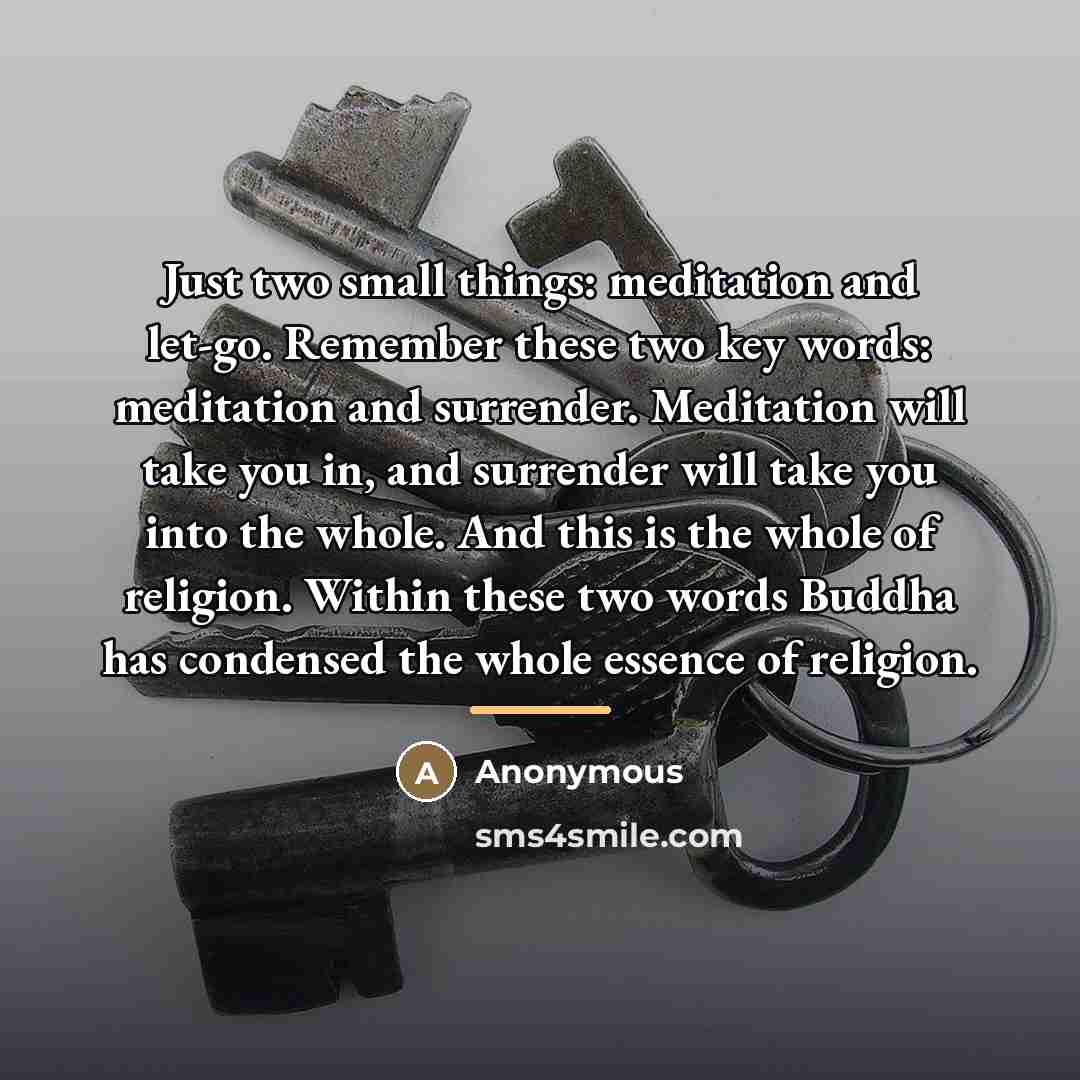 “Just two small things: meditation and let-go. Remember these two…” quote by Anonymous
