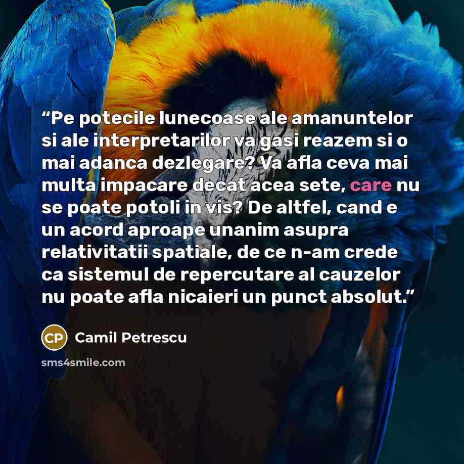 “Pe potecile lunecoase ale amanuntelor si ale interpretarilor va gasi reazem si o mai adanca dezlegare? Va afla ceva mai multa impacare decat acea sete, care nu se poate potoli in vis? De altfel, cand e un acord aproape unanim asupra relativitatii spatiale, de ce n-am crede ca sistemul de…” quote by Camil Petrescu