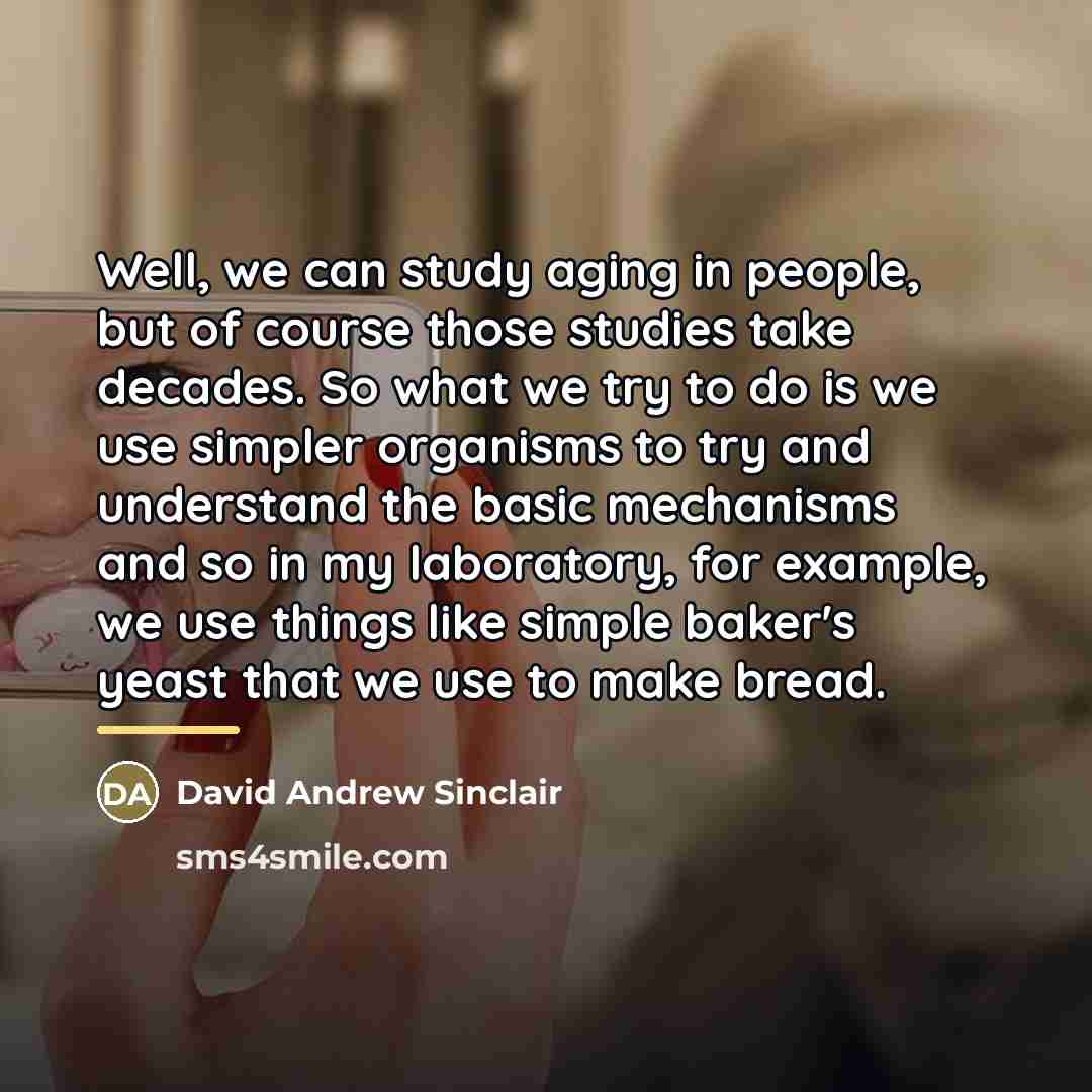 “Well, we can study aging in people, but of course…” quote by David Andrew Sinclair