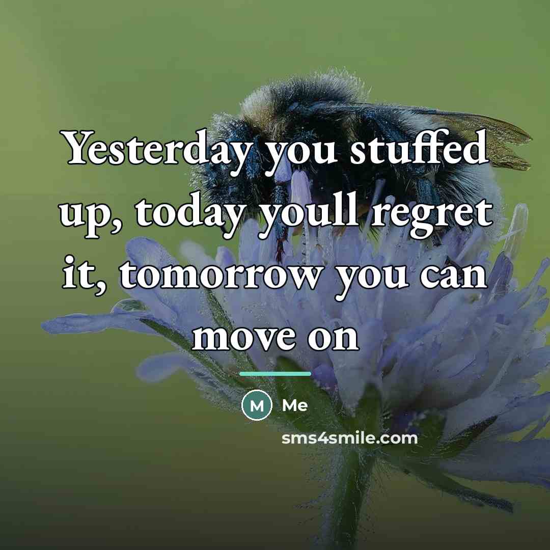 “Yesterday you stuffed up, today youll regret it, tomorrow you…” quote by Me