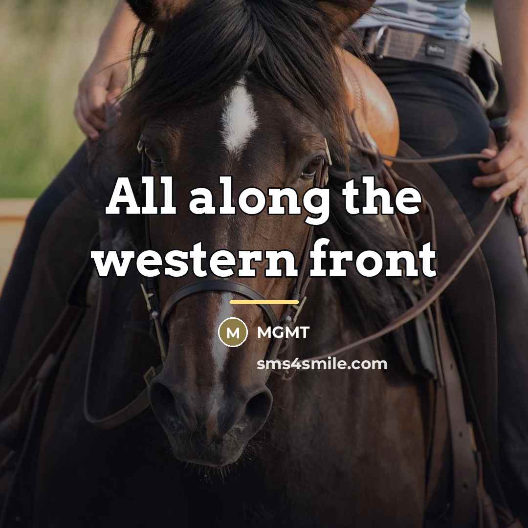 “All along the western front…” quote by MGMT