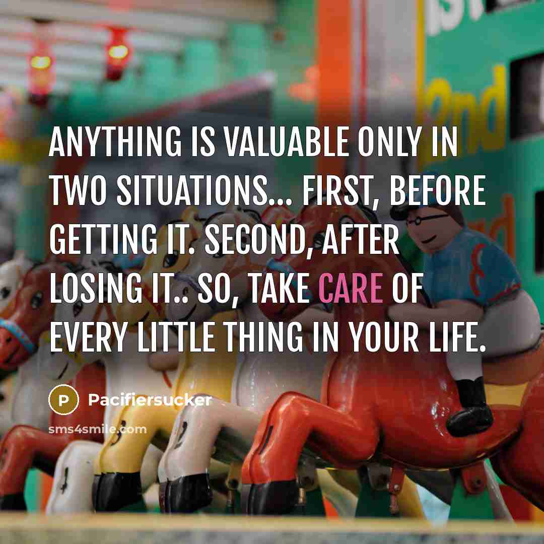 “Anything is valuable only in two situations.... First, before getting…” quote by Pacifiersucker