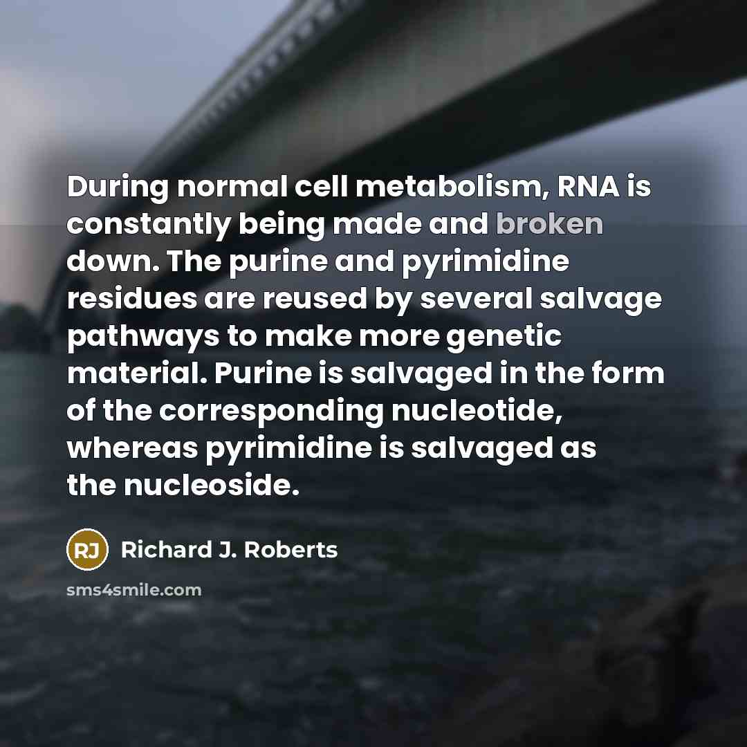 “During normal cell metabolism, RNA is constantly being made and…” quote by Richard J. Roberts