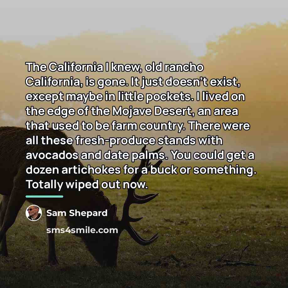 “The California I knew, old rancho California, is gone. It…” quote by Sam Shepard