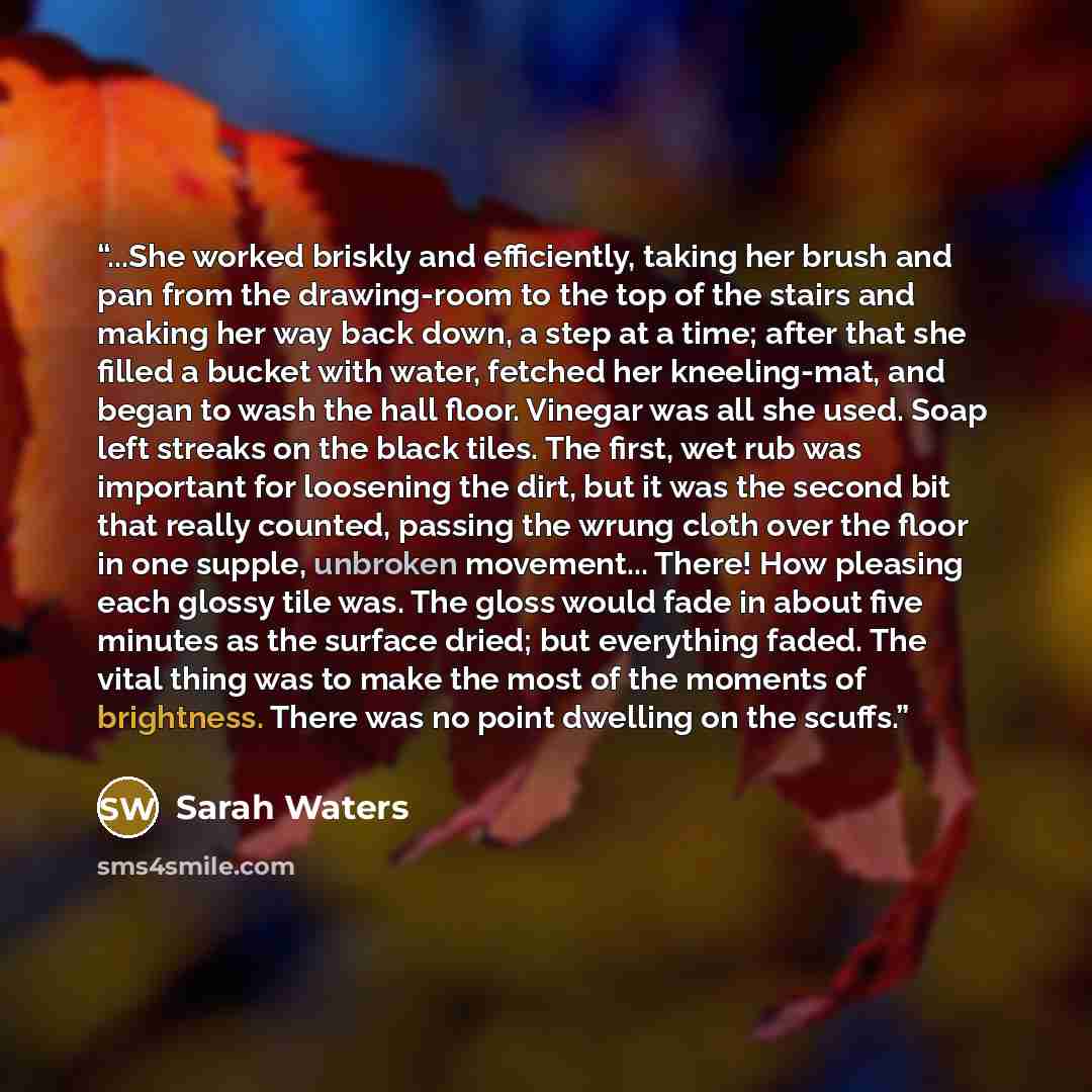 “...She worked briskly and efficiently, taking her brush and pan from the drawing-room to the top of the stairs and making her way back down, a step at a time; after that she filled a bucket with water, fetched her kneeling-mat, and began to wash the hall floor. Vinegar was all she used. Soap left…” quote by Sarah Waters