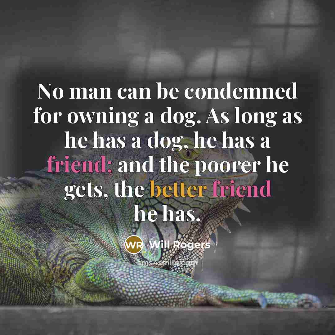 “No man can be condemned for owning a dog. As long as he has a dog, he has a friend; and the poorer he gets, the better friend he has.” quote by Will Rogers