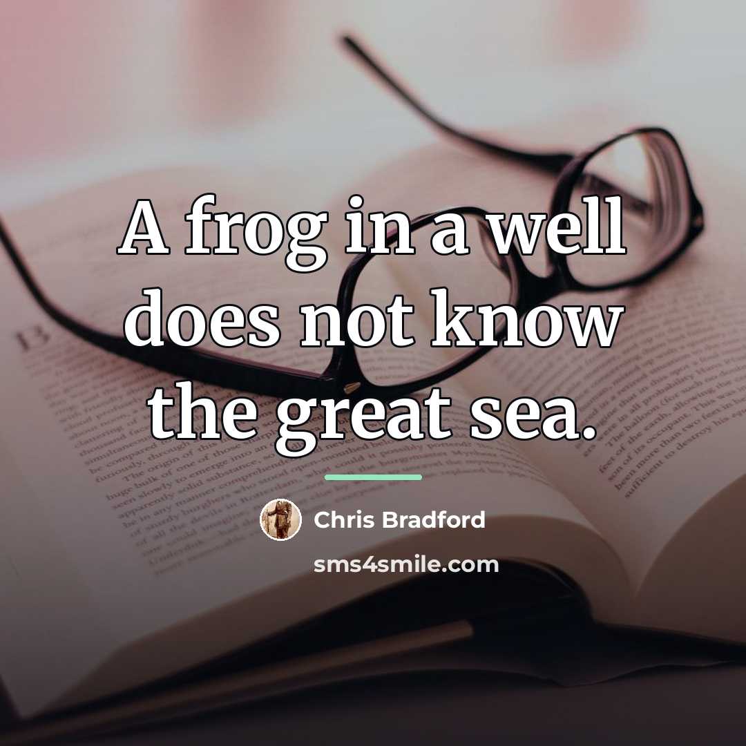 “A frog in a well does not know the great…” quote by Chris Bradford