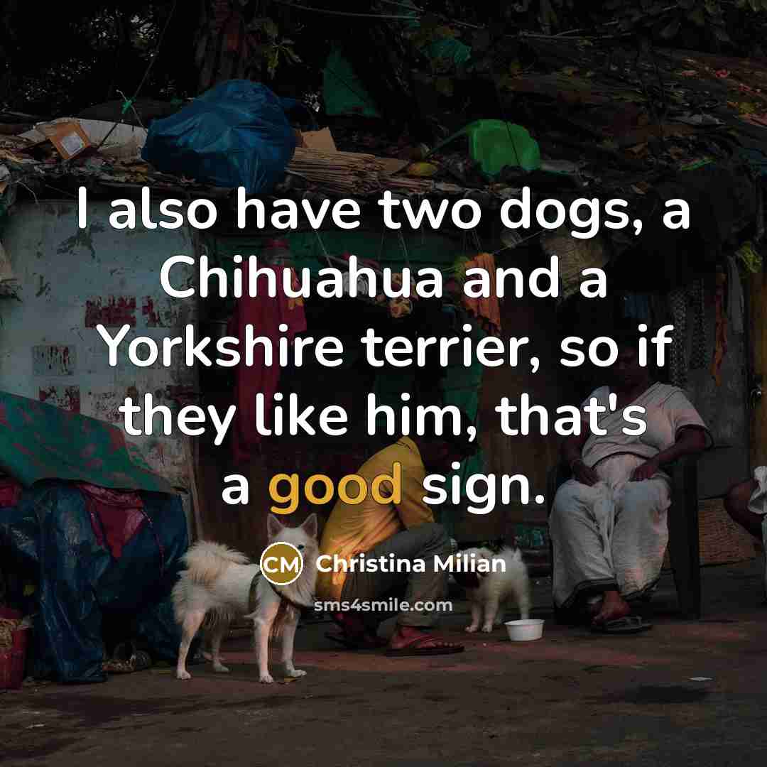 “I also have two dogs, a Chihuahua and a Yorkshire…” quote by Christina Milian