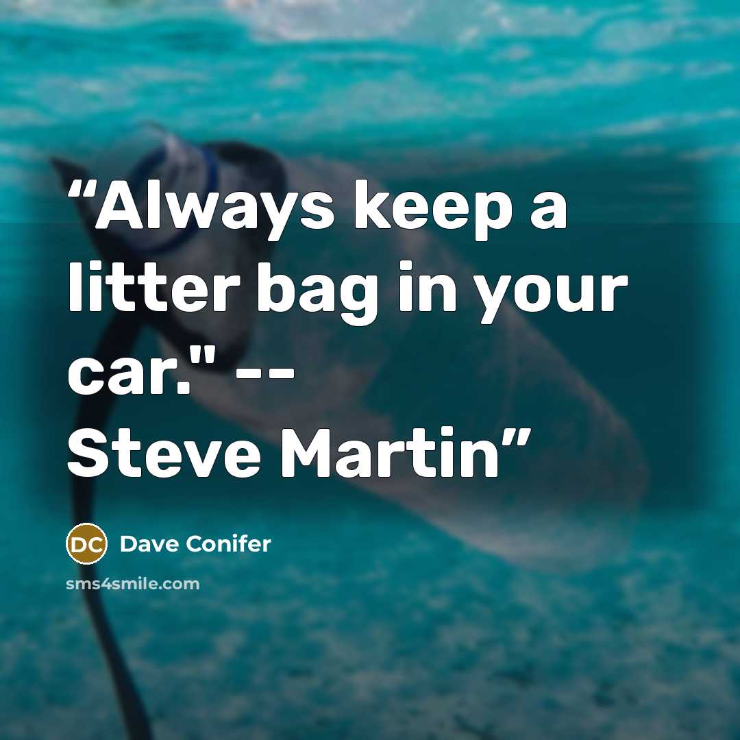 “Always keep a litter bag in your car." -- Steve Martin” quote by Dave Conifer