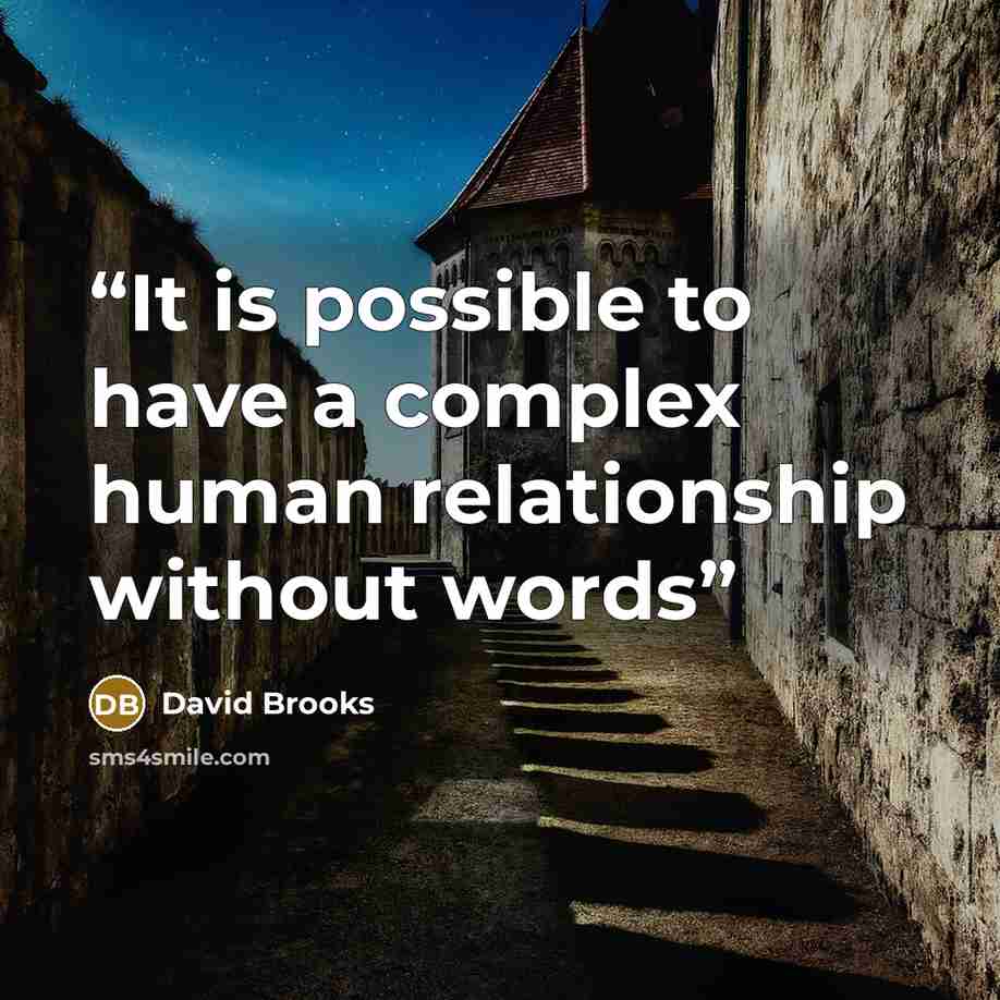 “It is possible to have a complex human relationship without words” quote by David Brooks