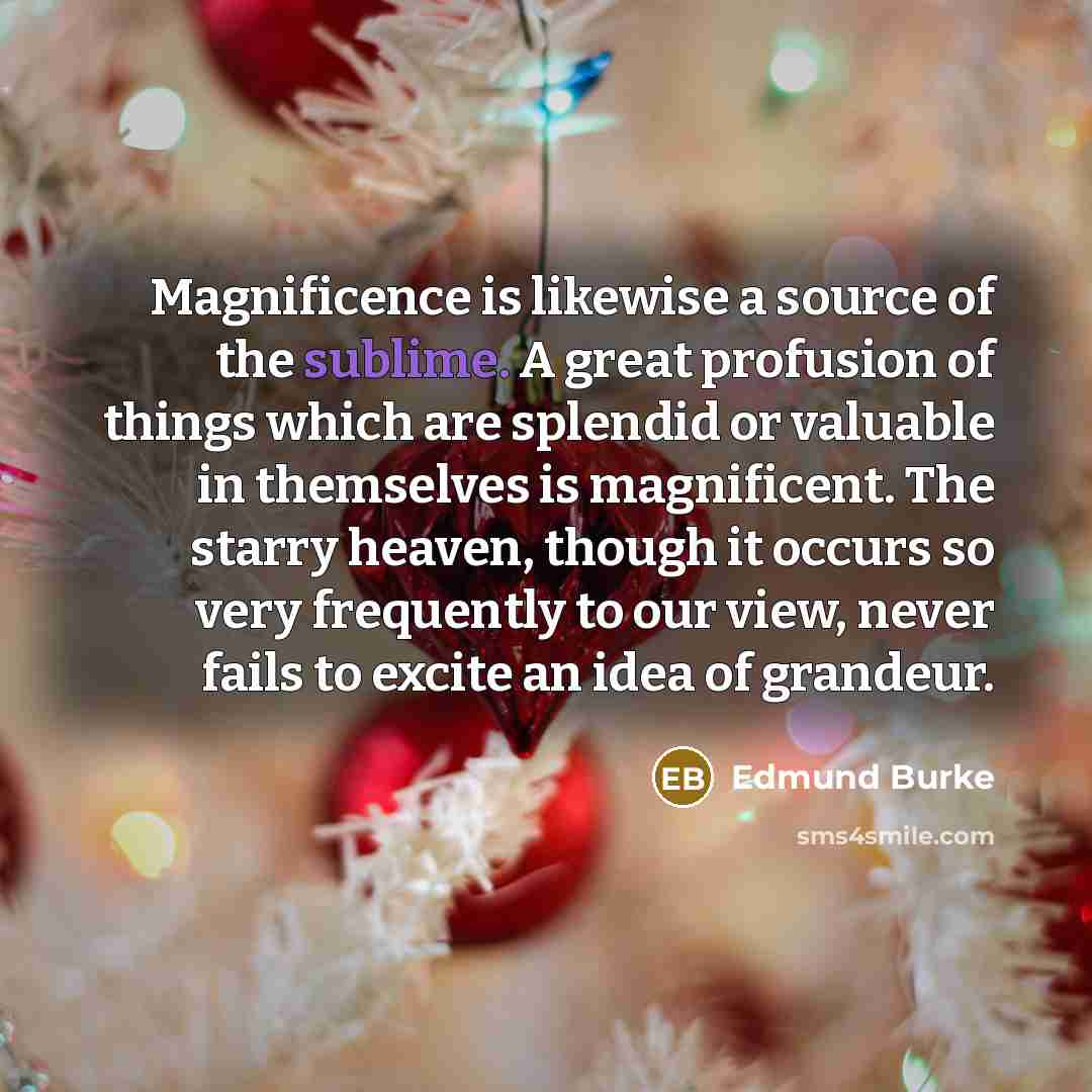 “Magnificence is likewise a source of the sublime. A great…” quote by Edmund Burke