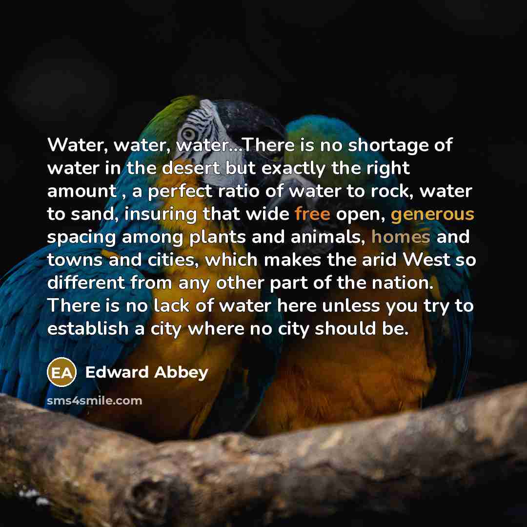 “Water, water, water....There is no shortage of water in the…” quote by Edward Abbey