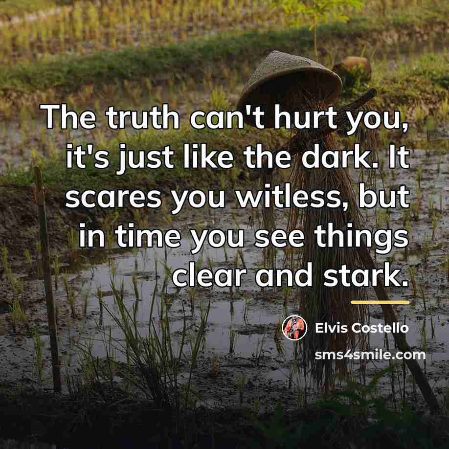 “The truth can't hurt you, it's just like the dark.…” quote by Elvis Costello