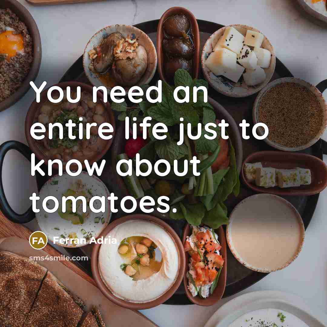 “You need an entire life just to know about tomatoes.…” quote by Ferran Adria