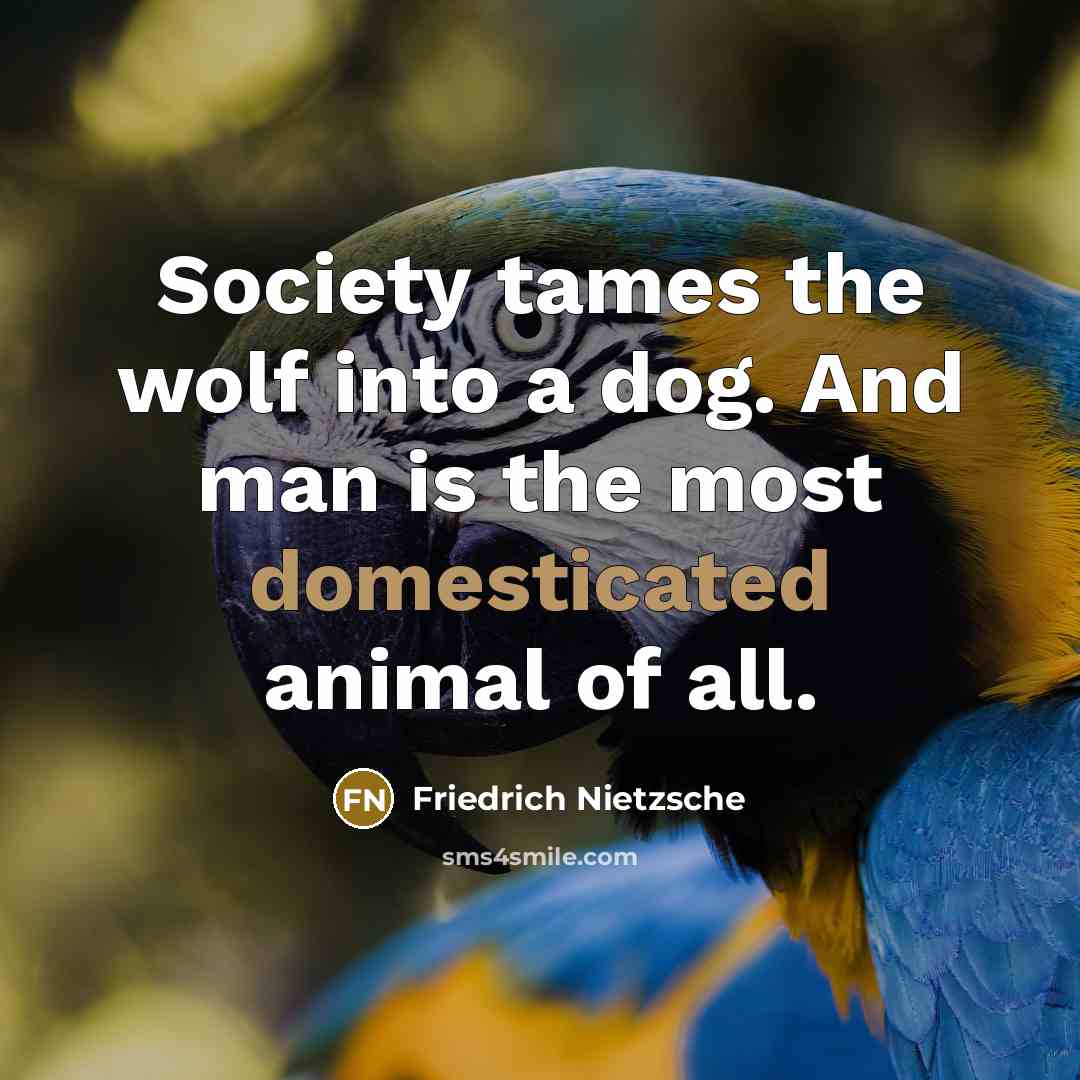 “Society tames the wolf into a dog. And man is…” quote by Friedrich Nietzsche