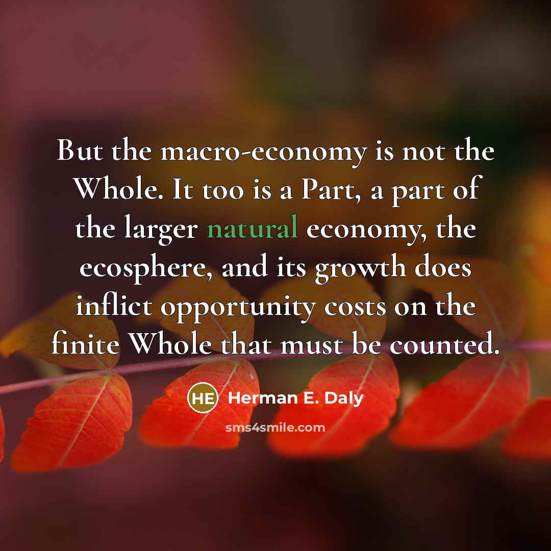 “But the macro-economy is not the Whole. It too is…” quote by Herman E. Daly