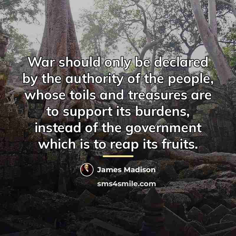 “War should only be declared by the authority of the…” quote by James Madison