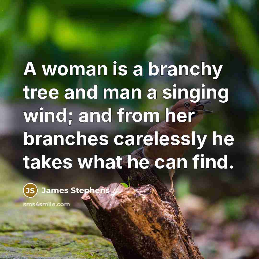 “A woman is a branchy tree and man a singing…” quote by James Stephens
