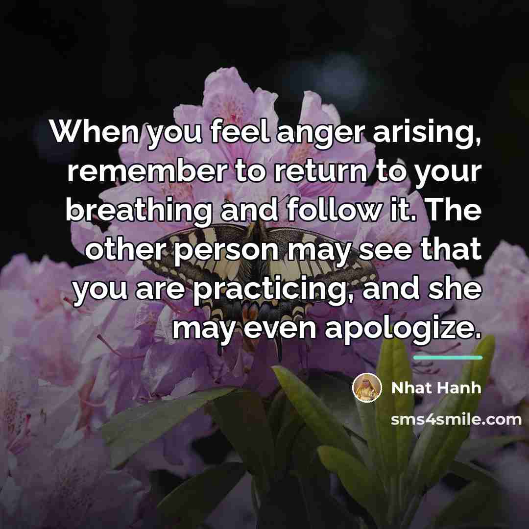 “When you feel anger arising, remember to return to your…” quote by Nhat Hanh