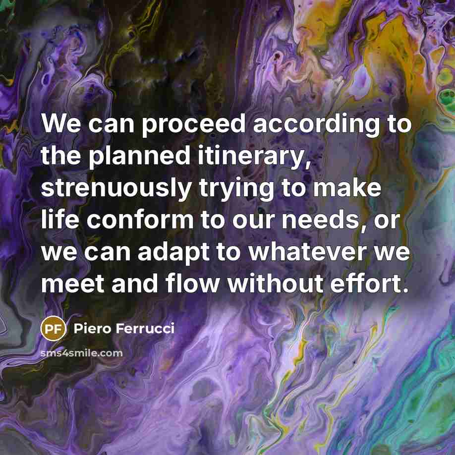 “We can proceed according to the planned itinerary, strenuously trying…” quote by Piero Ferrucci