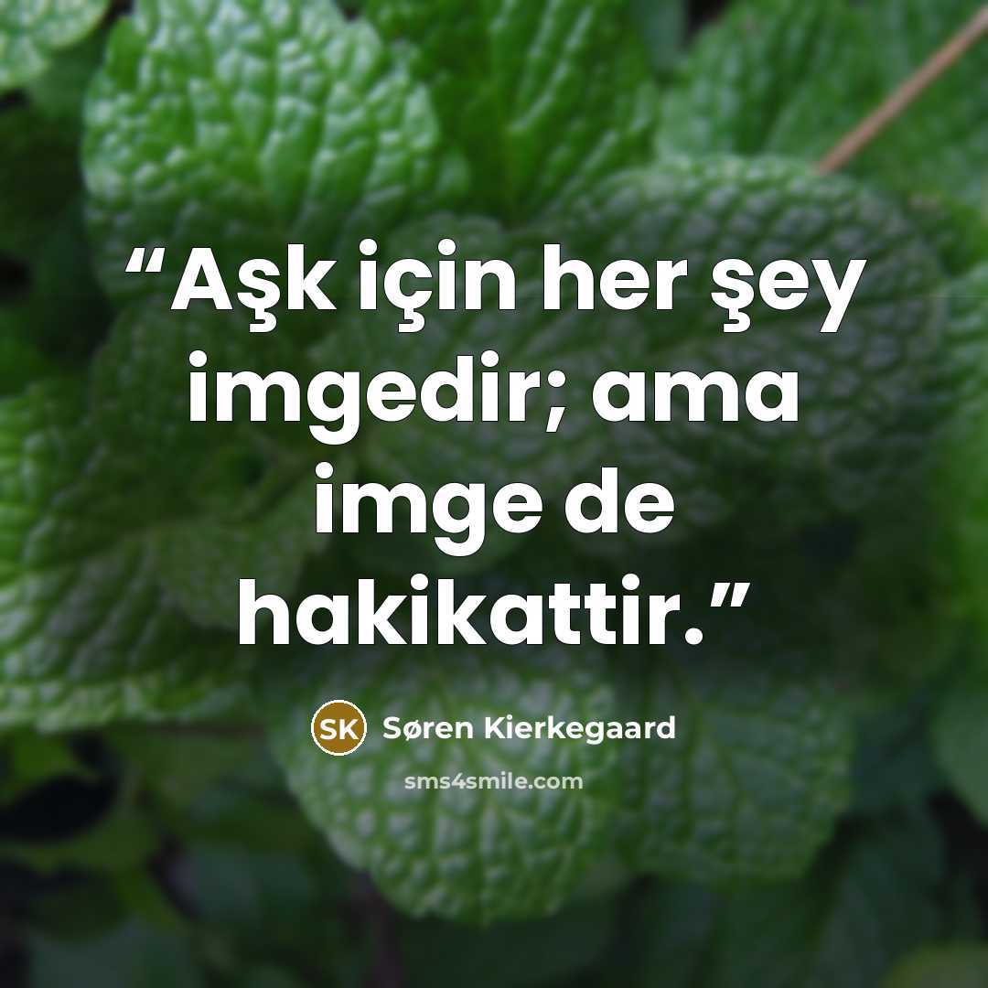 “Aşk için her şey imgedir; ama imge de hakikattir.” quote by Søren Kierkegaard