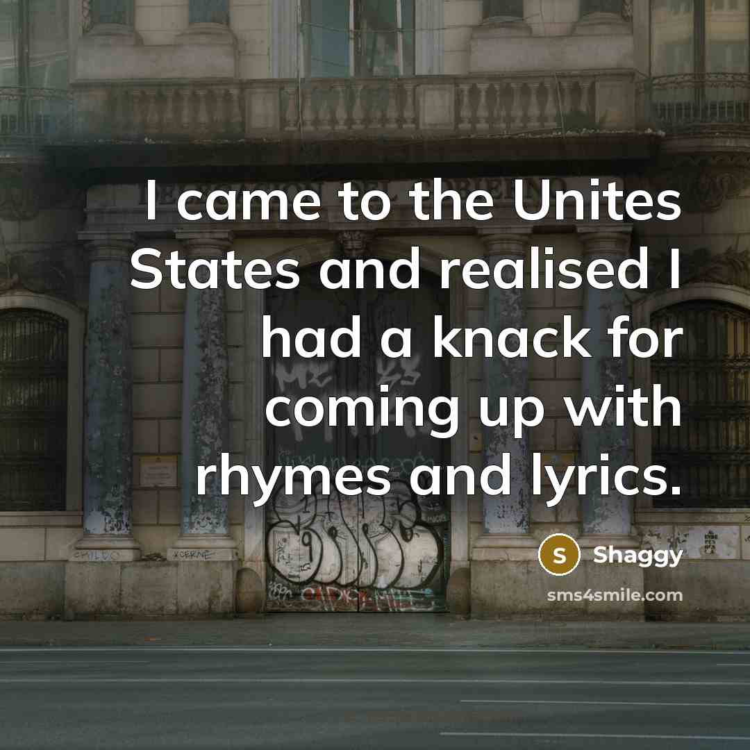 “I came to the Unites States and realised I had…” quote by Shaggy