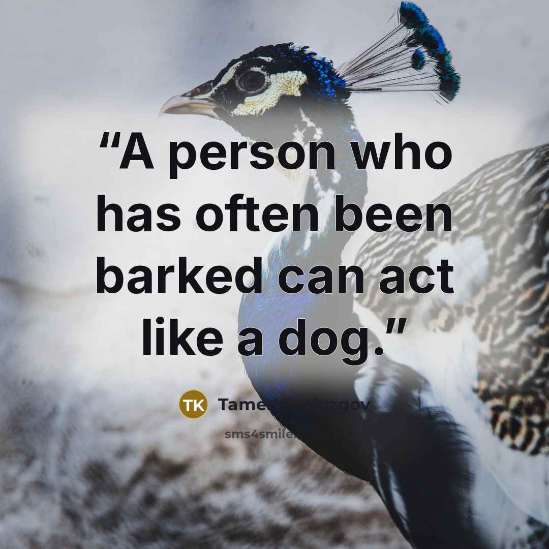 “A person who has often been barked can act like a dog.” quote by Tamerlan Kuzgov