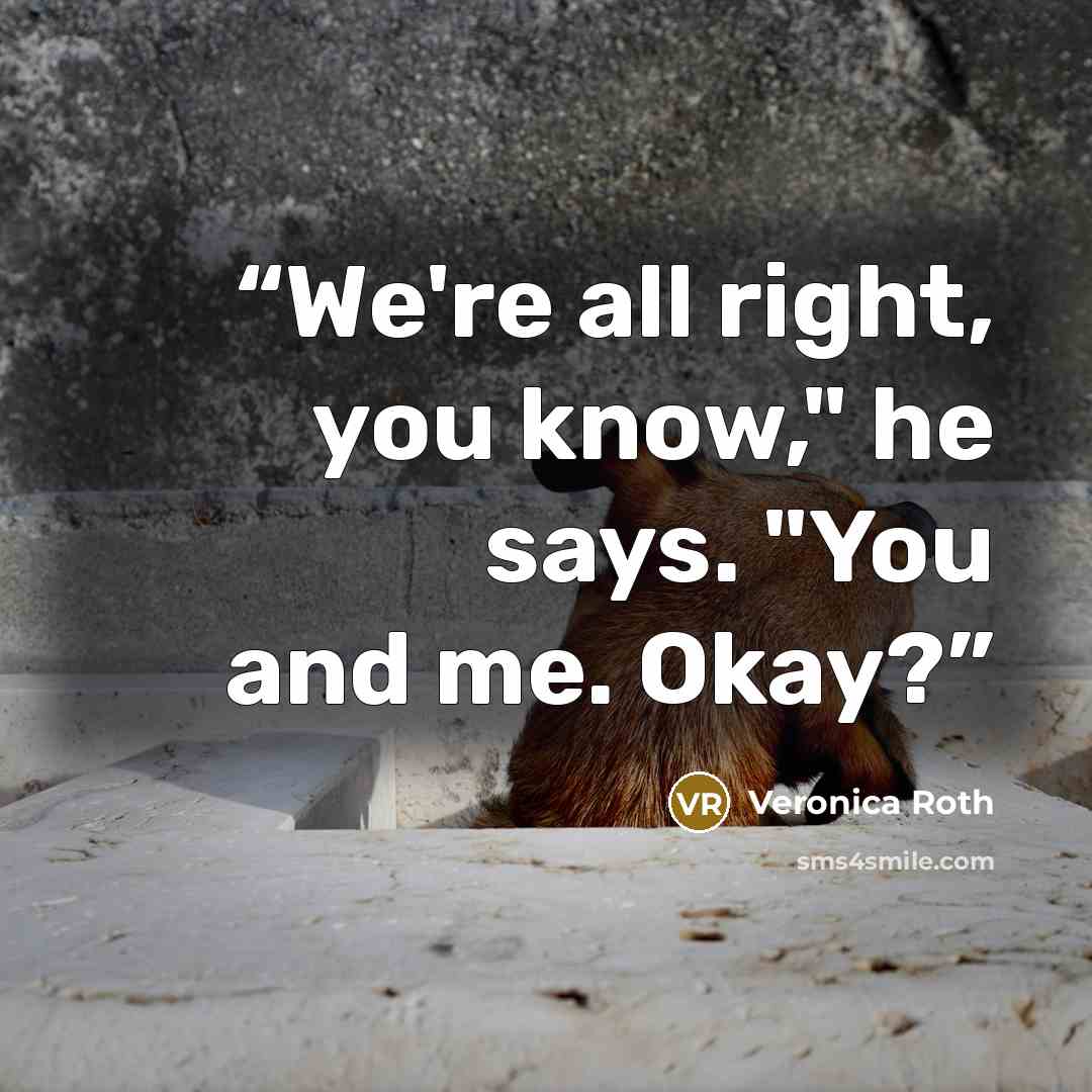 “We're all right, you know," he says. "You and me. Okay?” quote by Veronica Roth