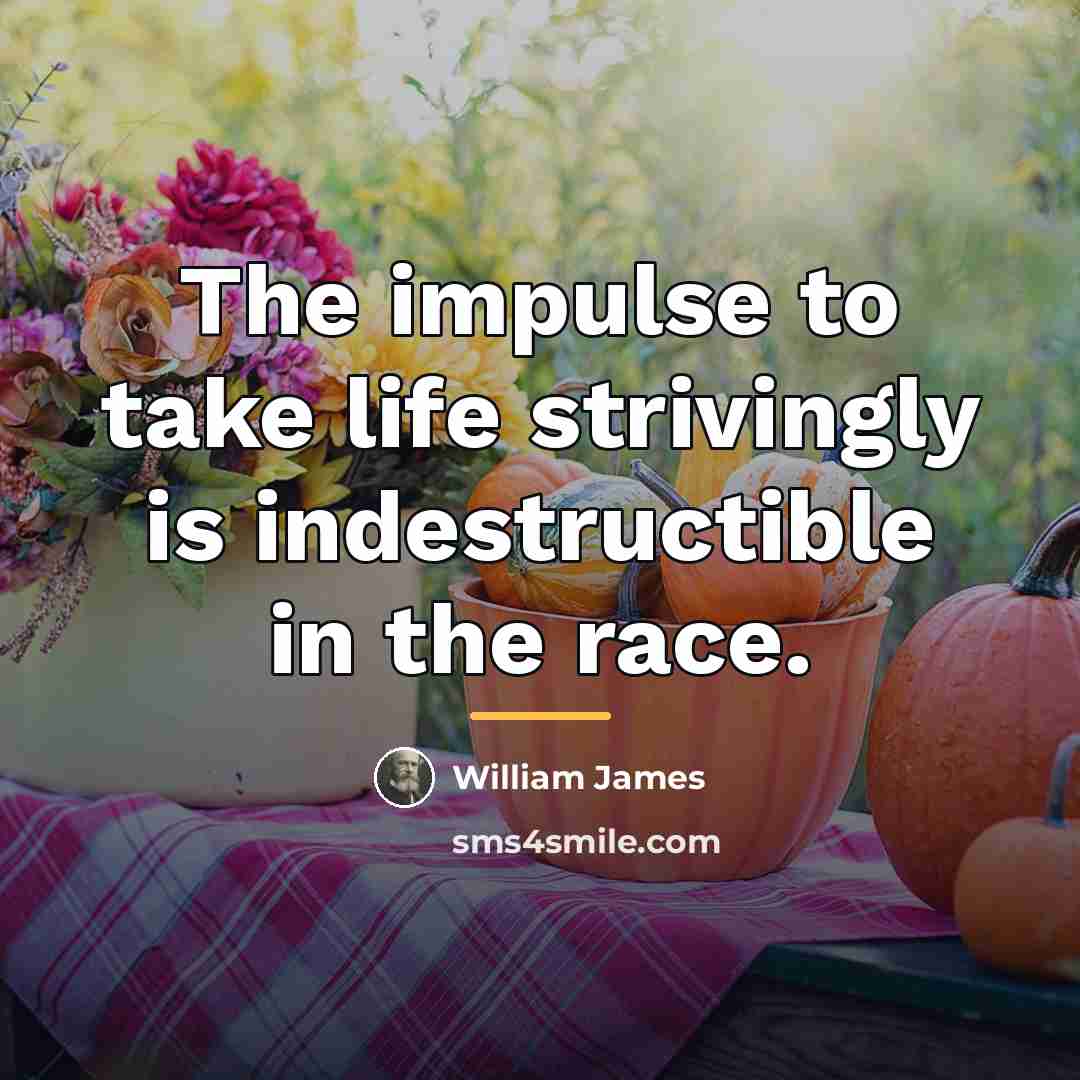 “The impulse to take life strivingly is indestructible in the…” quote by William James