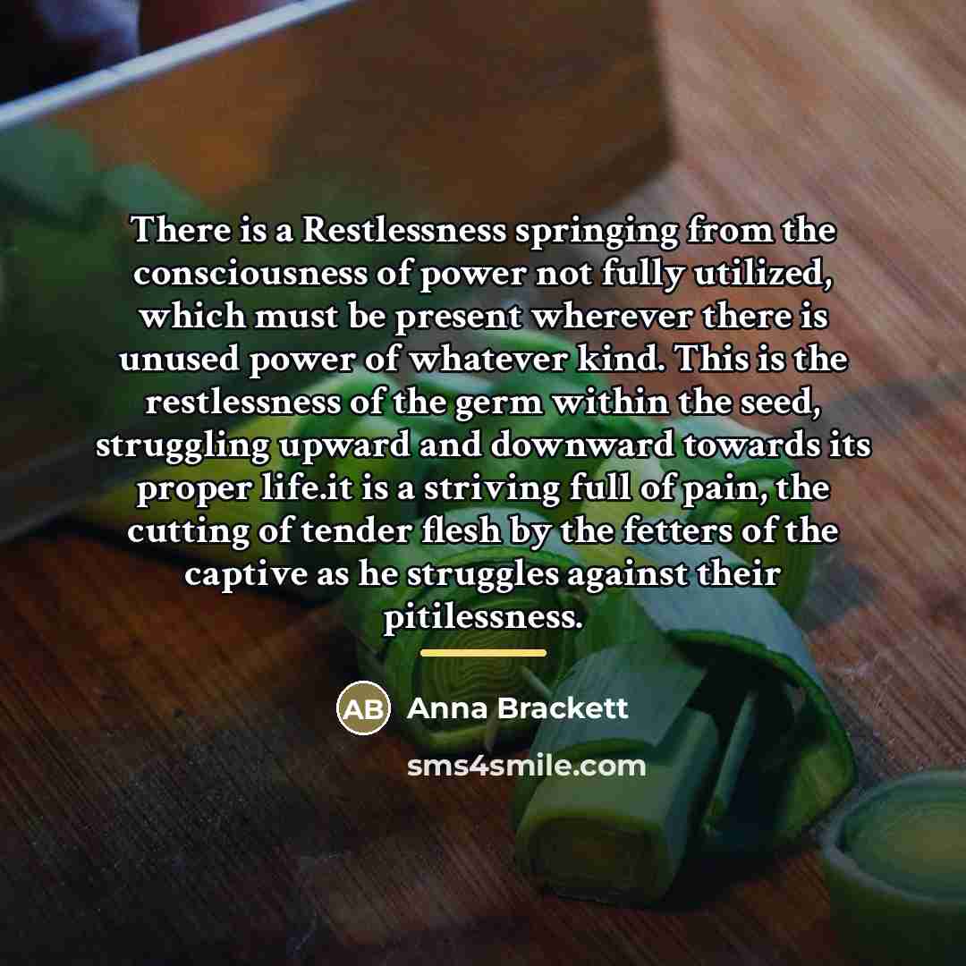 “There is a Restlessness springing from the consciousness of power…” quote by Anna Brackett