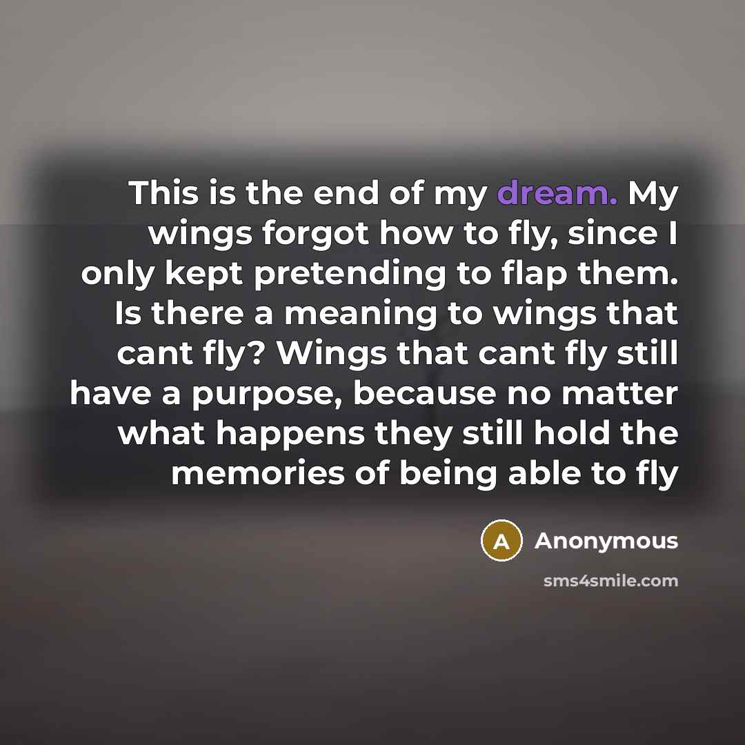 “This is the end of my dream. My wings forgot…” quote by Anonymous