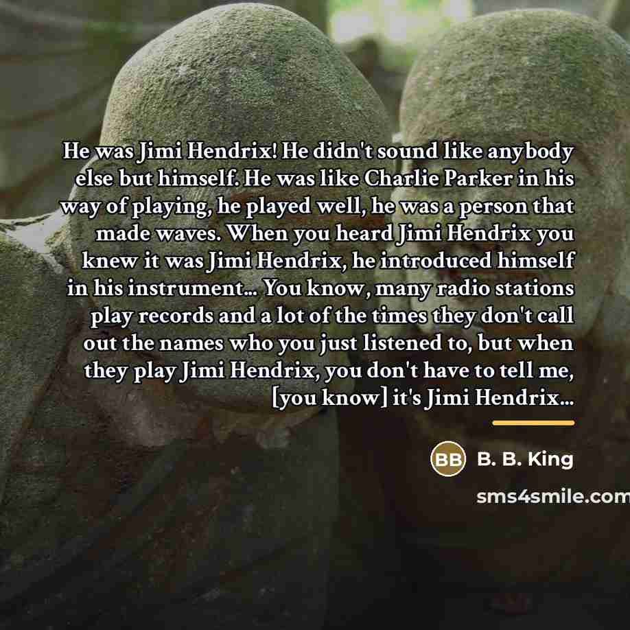 “He was Jimi Hendrix! He didn't sound like anybody else…” quote by B. B. King