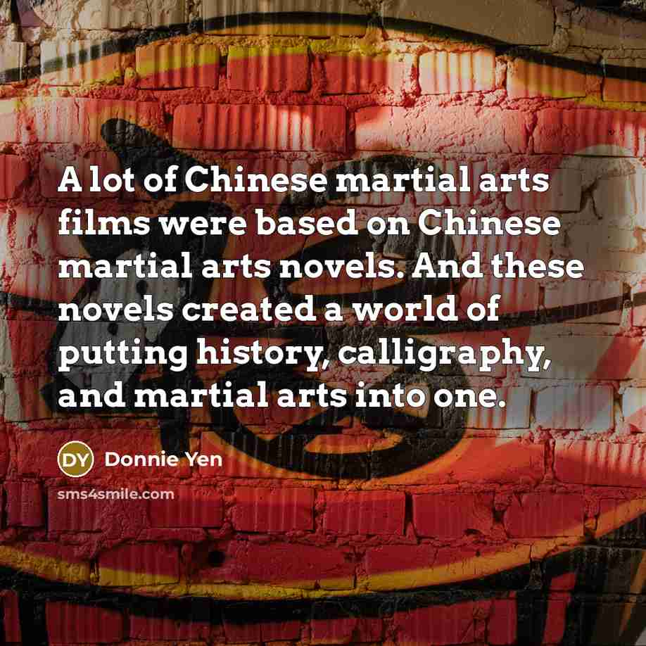 “A lot of Chinese martial arts films were based on…” quote by Donnie Yen