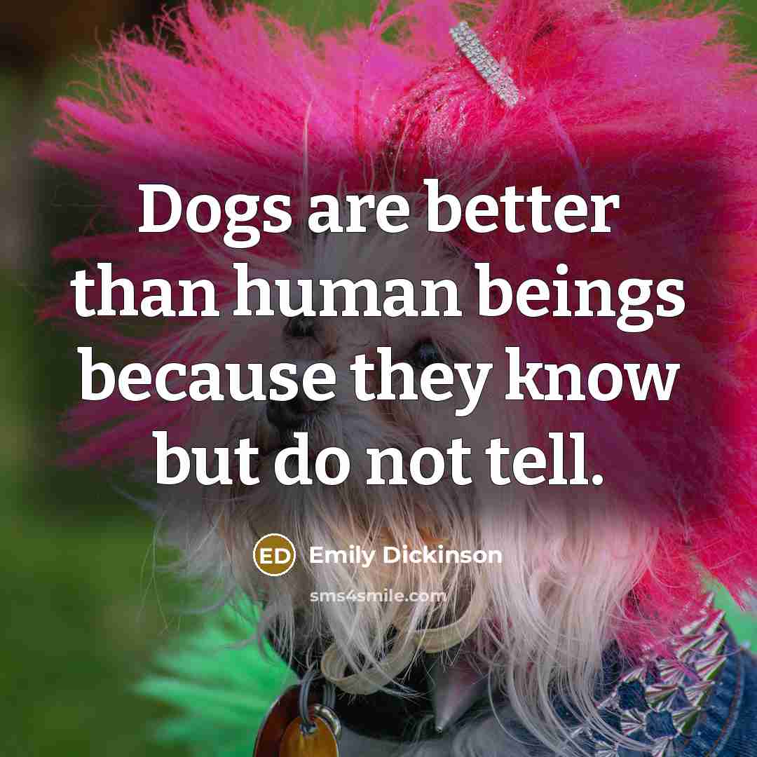 “Dogs are better than human beings because they know but…” quote by Emily Dickinson