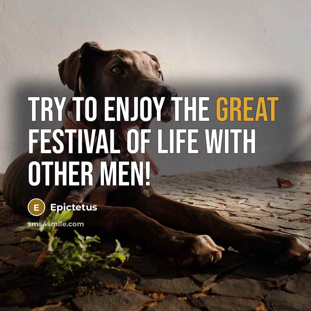 “Try to enjoy the great festival of life with other…” quote by Epictetus