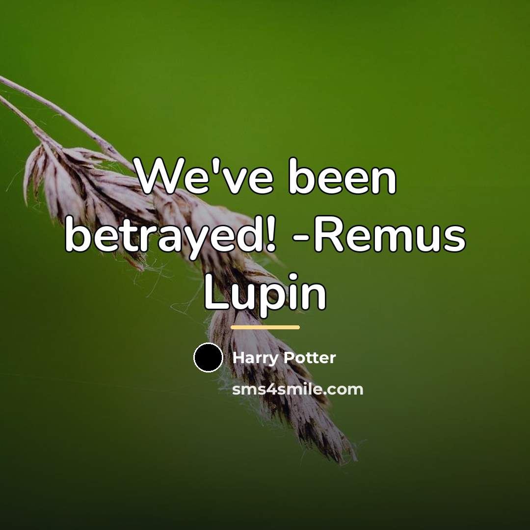 “We've been betrayed! -Remus Lupin…” quote by Harry Potter
