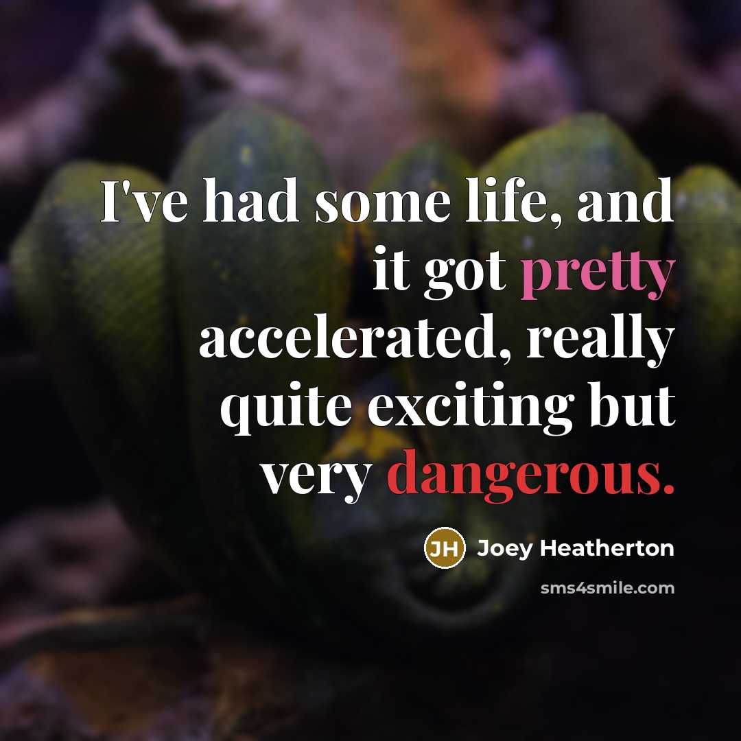 “I've had some life, and it got pretty accelerated, really quite exciting but very dangerous.” quote by Joey Heatherton