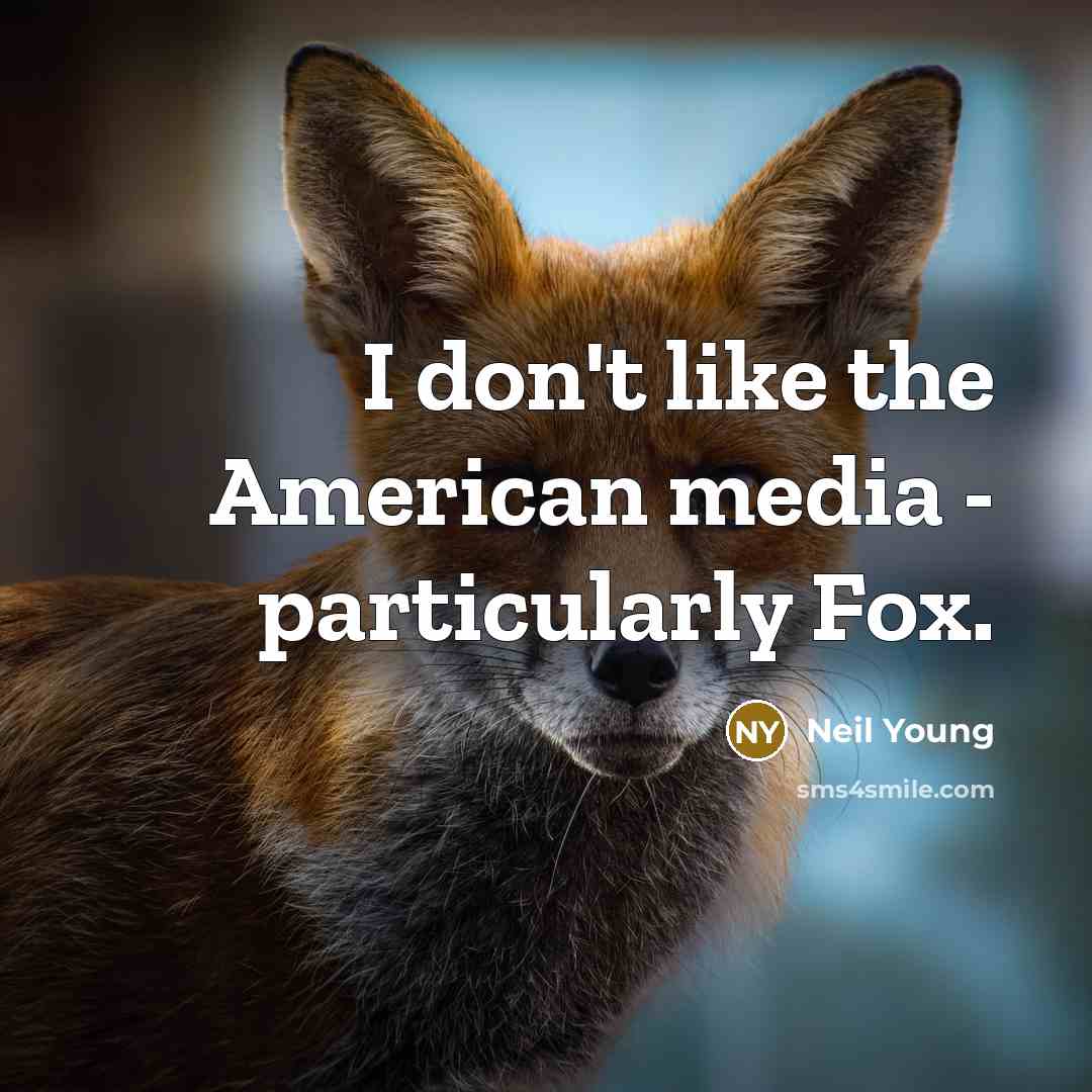 “I don't like the American media - particularly Fox.…” quote by Neil Young