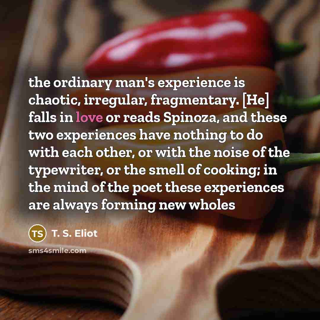 “the ordinary man's experience is chaotic, irregular, fragmentary. [He] falls…” quote by T. S. Eliot