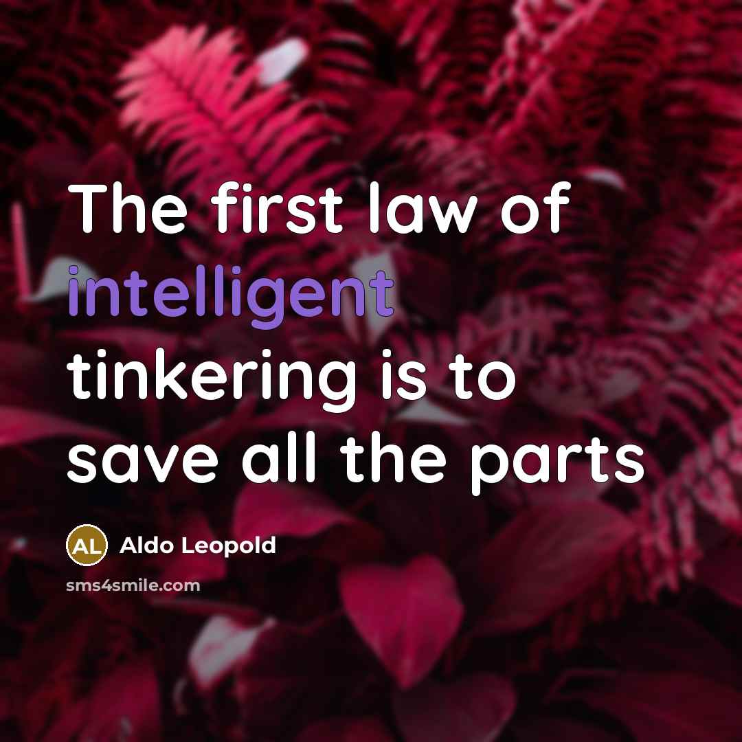 “The first law of intelligent tinkering is to save all…” quote by Aldo Leopold