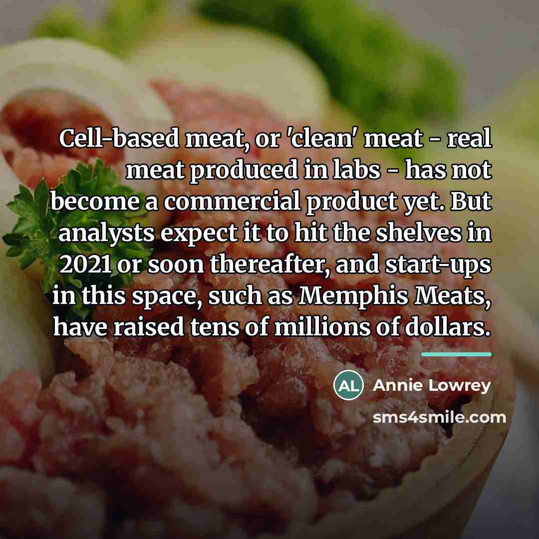 “Cell-based meat, or 'clean' meat - real meat produced in…” quote by Annie Lowrey