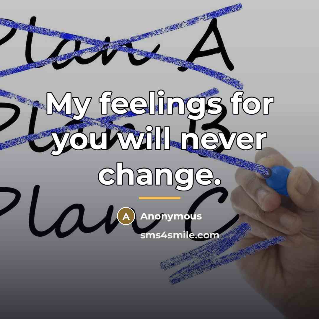 “My feelings for you will never change.…” quote by Anonymous