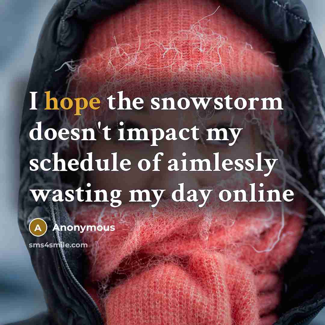 “I hope the snowstorm doesn't impact my schedule of aimlessly…” quote by Anonymous