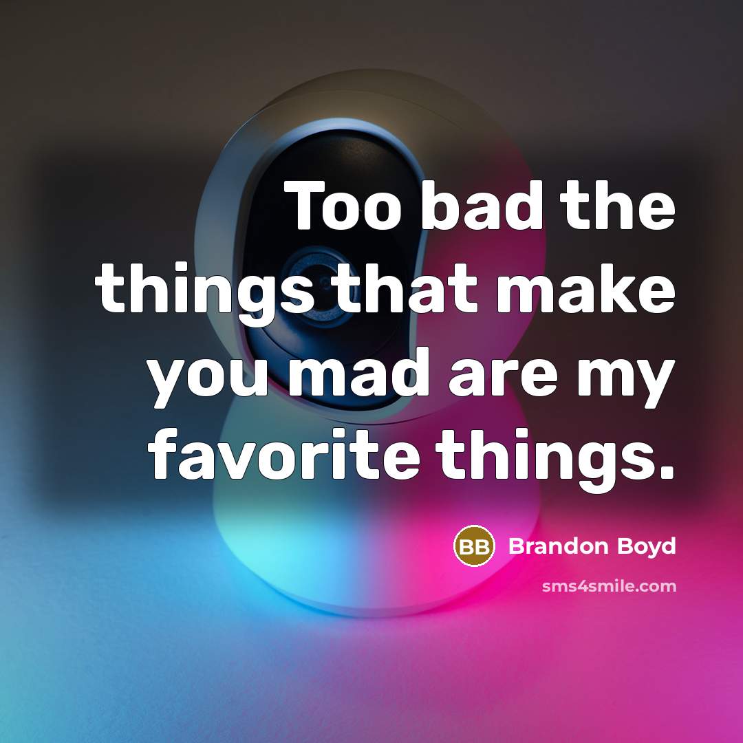 “Too bad the things that make you mad are my…” quote by Brandon Boyd