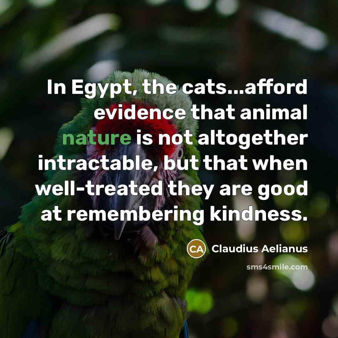 “In Egypt, the cats...afford evidence that animal nature is not…” quote by Claudius Aelianus