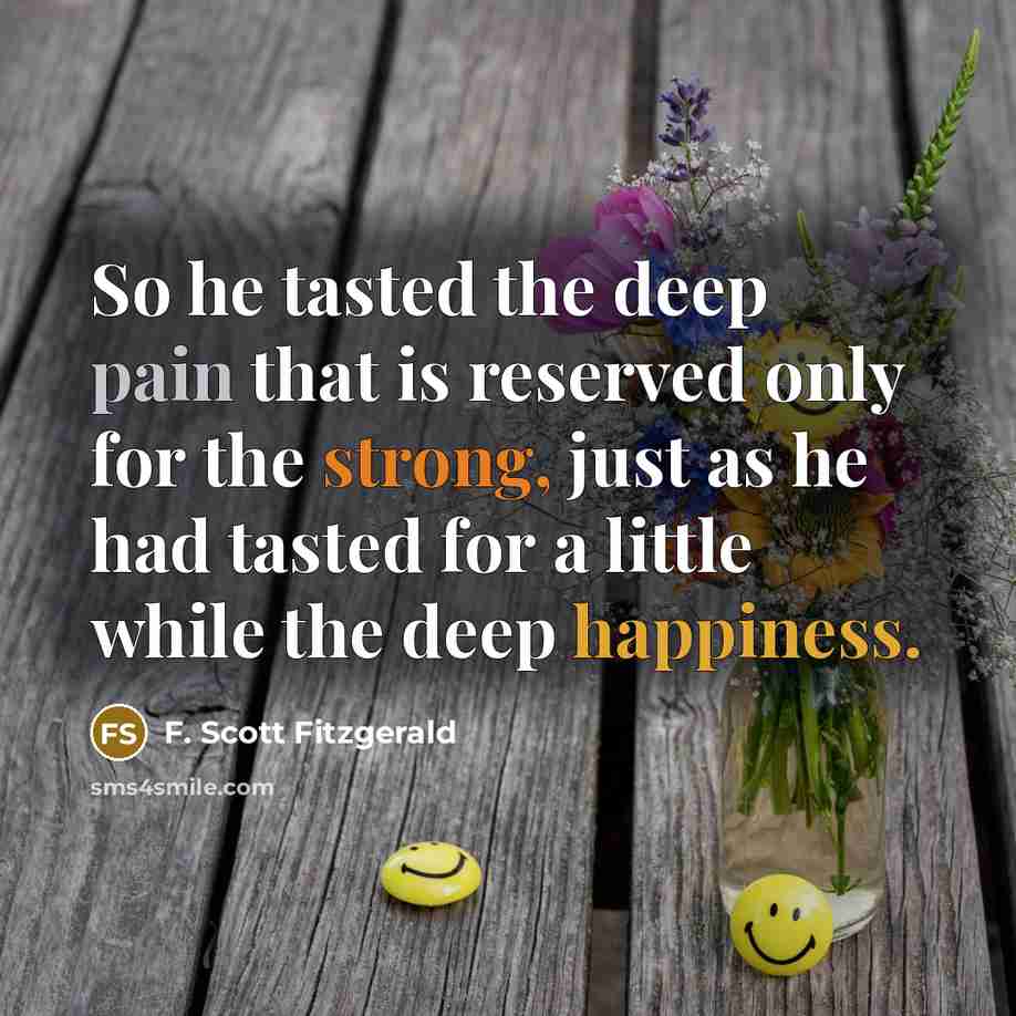 “So he tasted the deep pain that is reserved only…” quote by F. Scott Fitzgerald