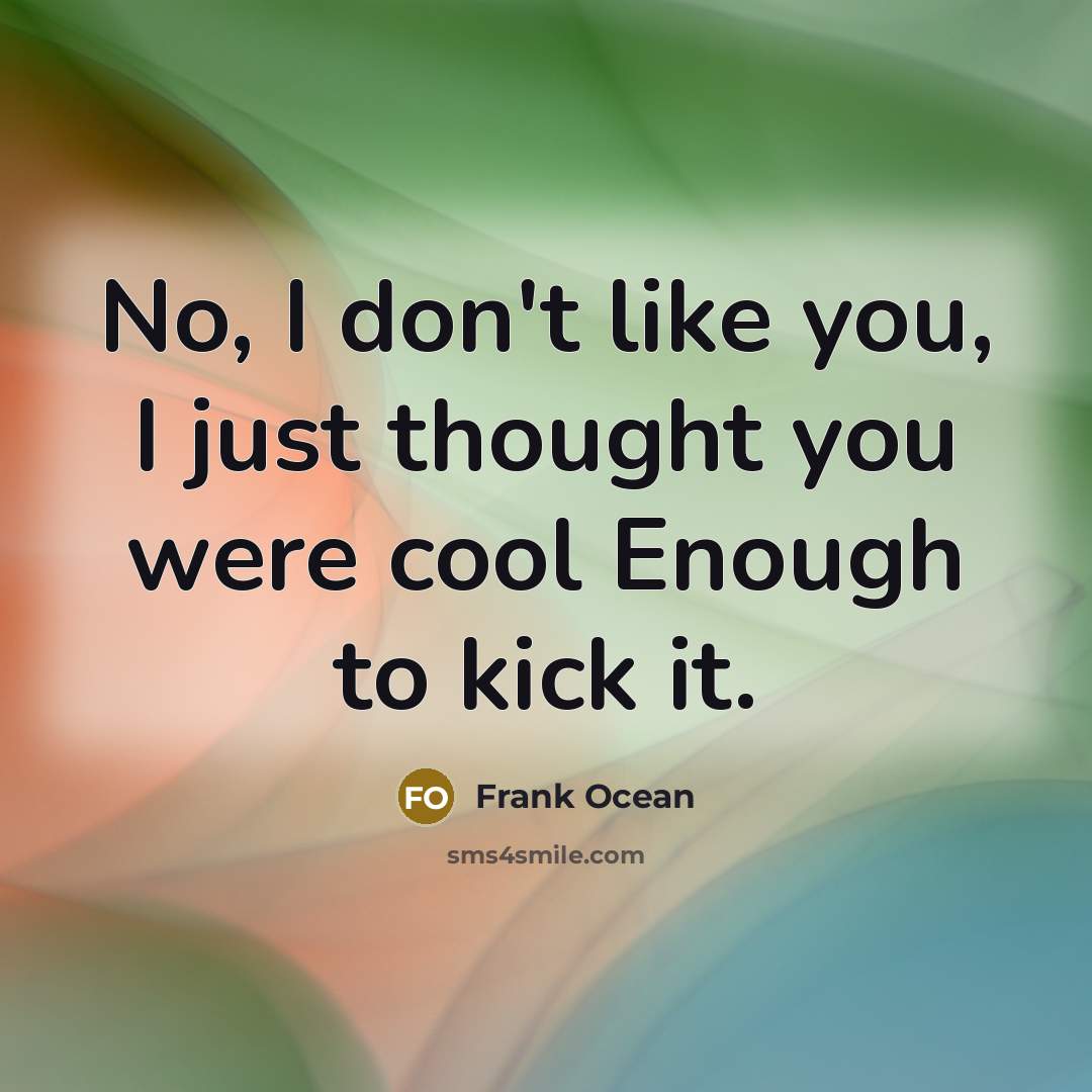 “No, I don't like you, I just thought you were…” quote by Frank Ocean
