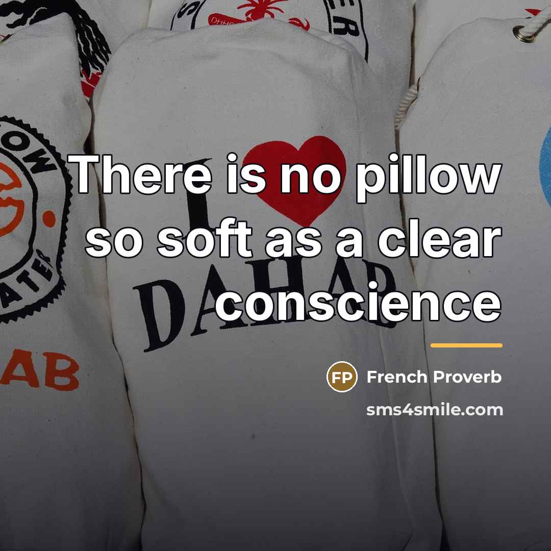 “There is no pillow so soft as a clear conscience…” quote by French Proverb