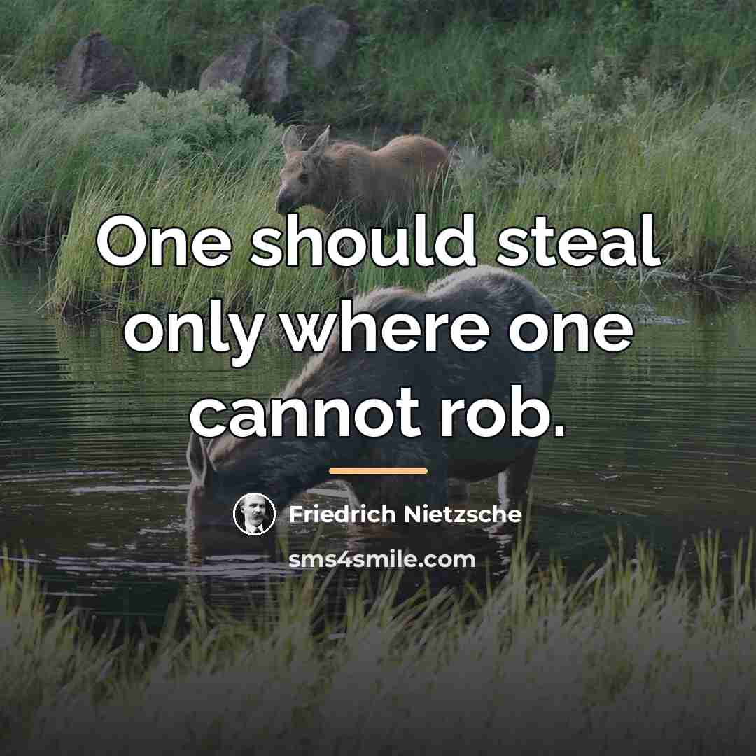 “One should steal only where one cannot rob.…” quote by Friedrich Nietzsche